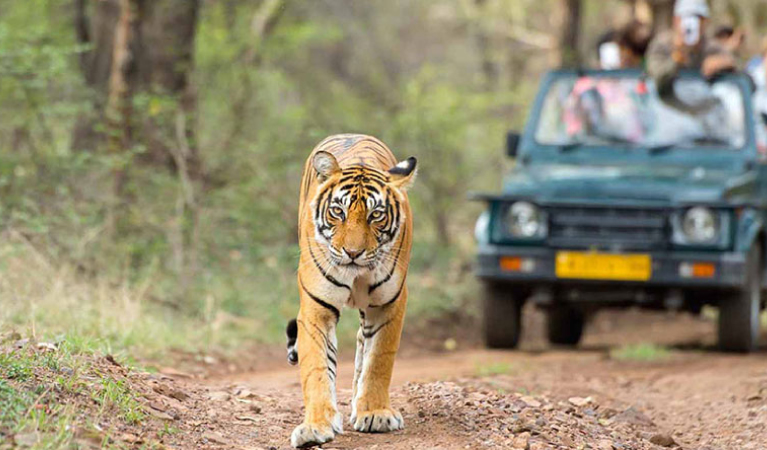 Exotic Nainital with Corbett